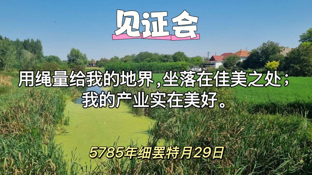 WhatsApp 图像2025-02-26于22.17.46_16e26d18.jpg