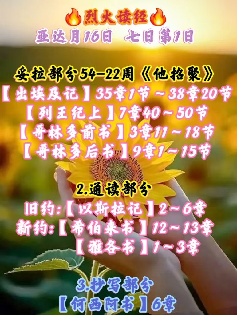 3aff3917fc2cce608c761e09d5f1407c.jpeg