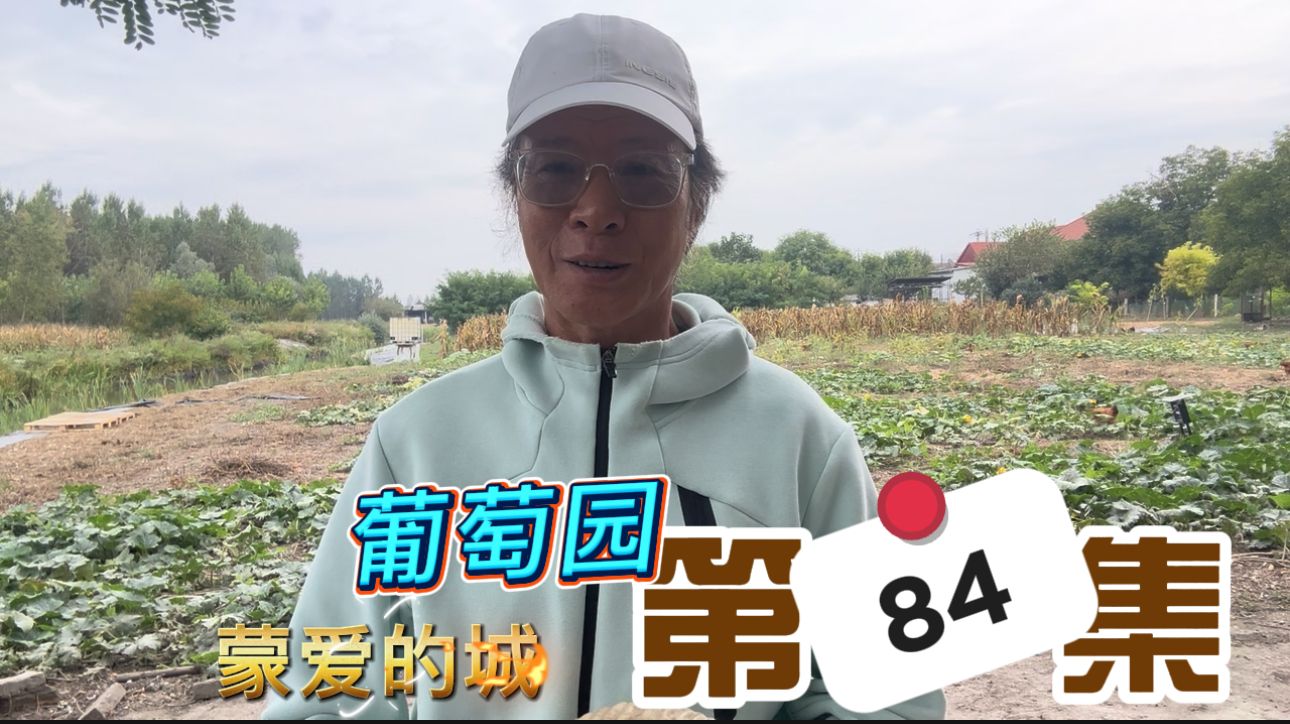 葡萄园1.jpg