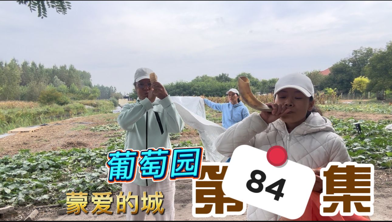 葡萄园2.jpg