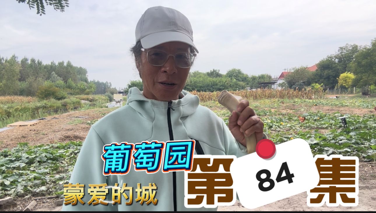 葡萄园3.jpg
