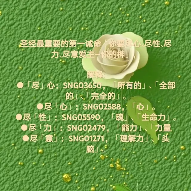 WhatsApp 图像2025-09-19于21.40.56_513a51c7.jpg