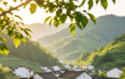 🔥烈火读经🔥   西弯月15日  七日第2日