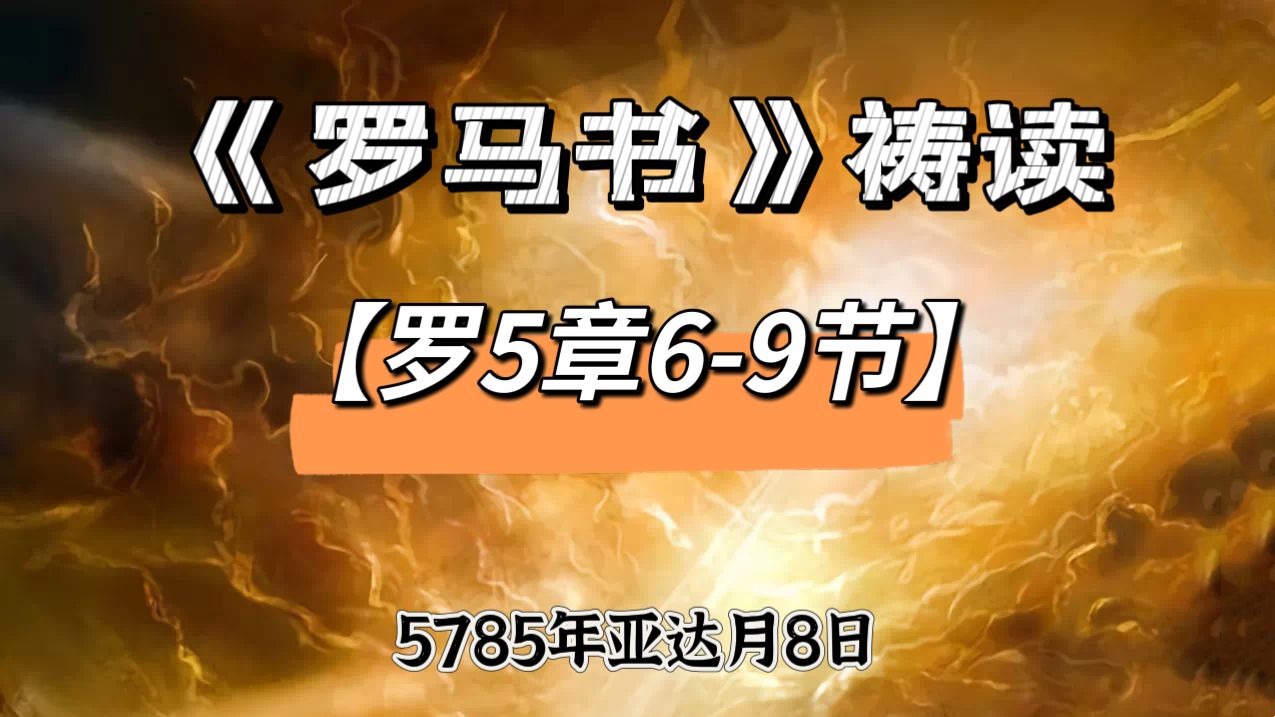 WhatsApp 图像2025-03-07于21.03.03_ecef9a21.jpg