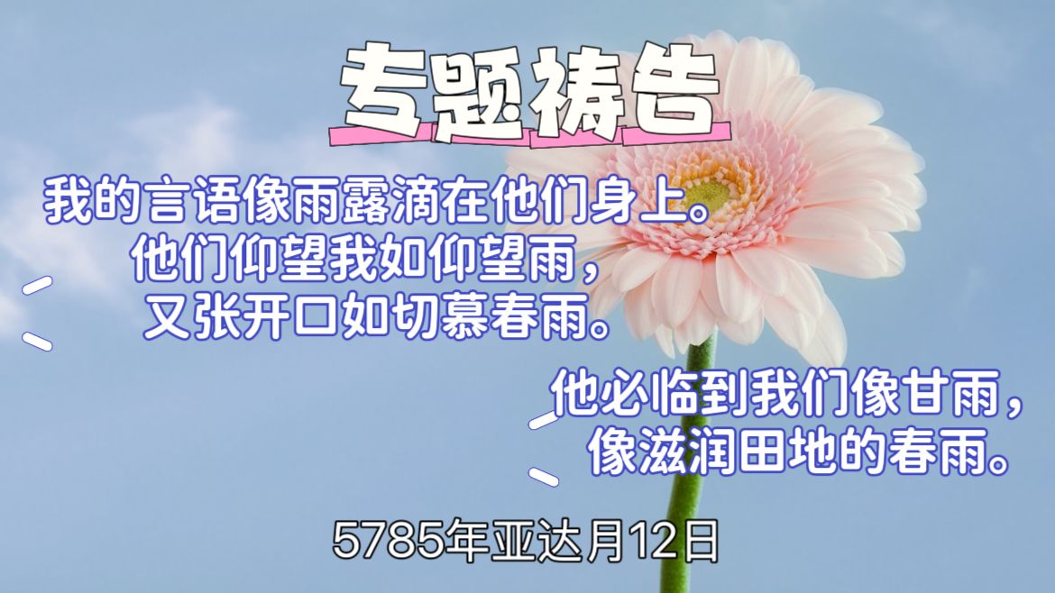 WhatsApp 图像2025-03-11于21.17.42_115c0e57.jpg