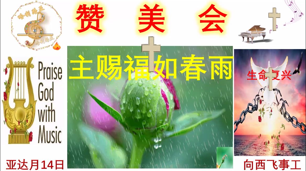 WhatsApp 图像2025-03-13于22.39.46_d301f982.jpg
