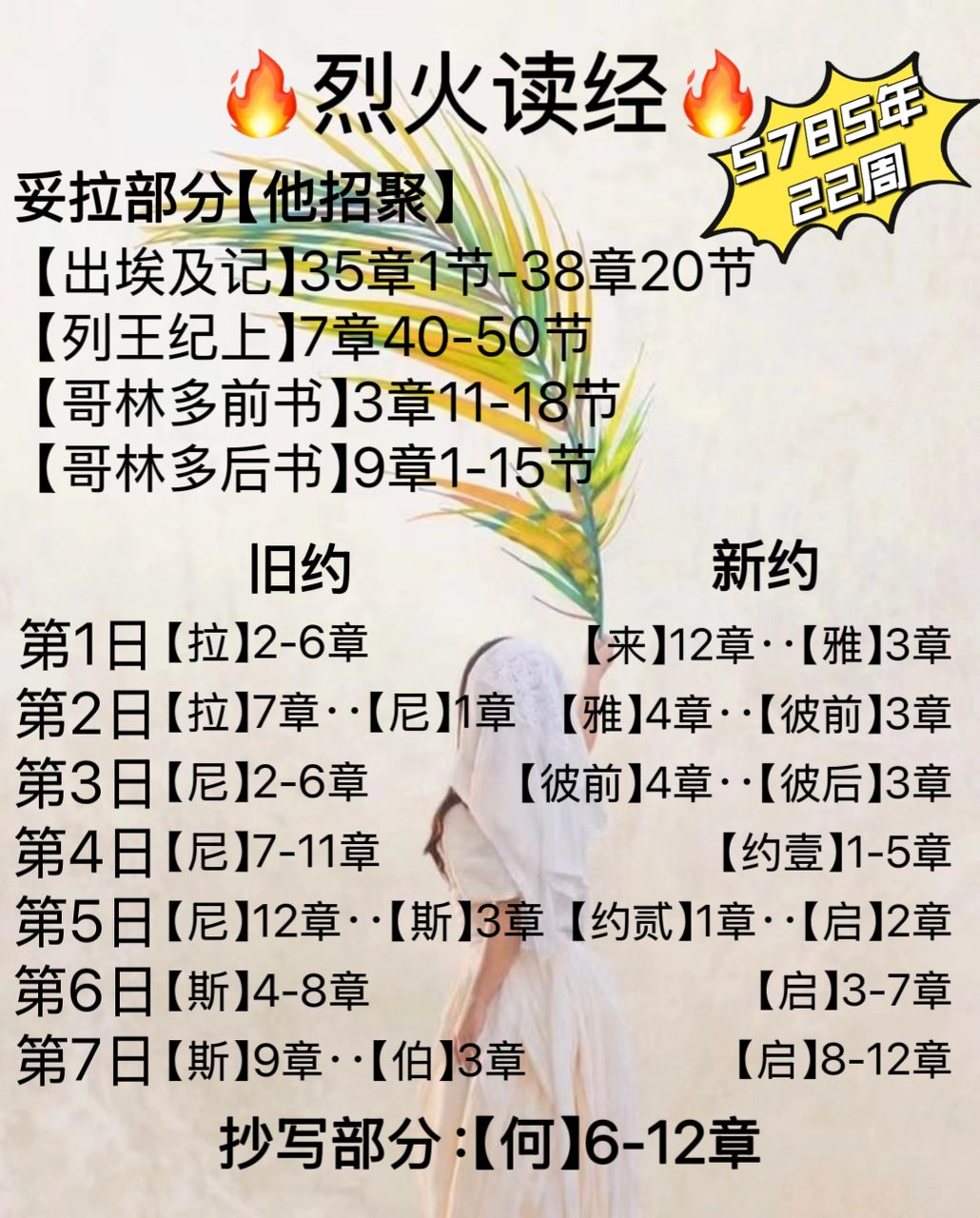WhatsApp 图像2025-03-17于22.44.56_18dfaf7c.jpg
