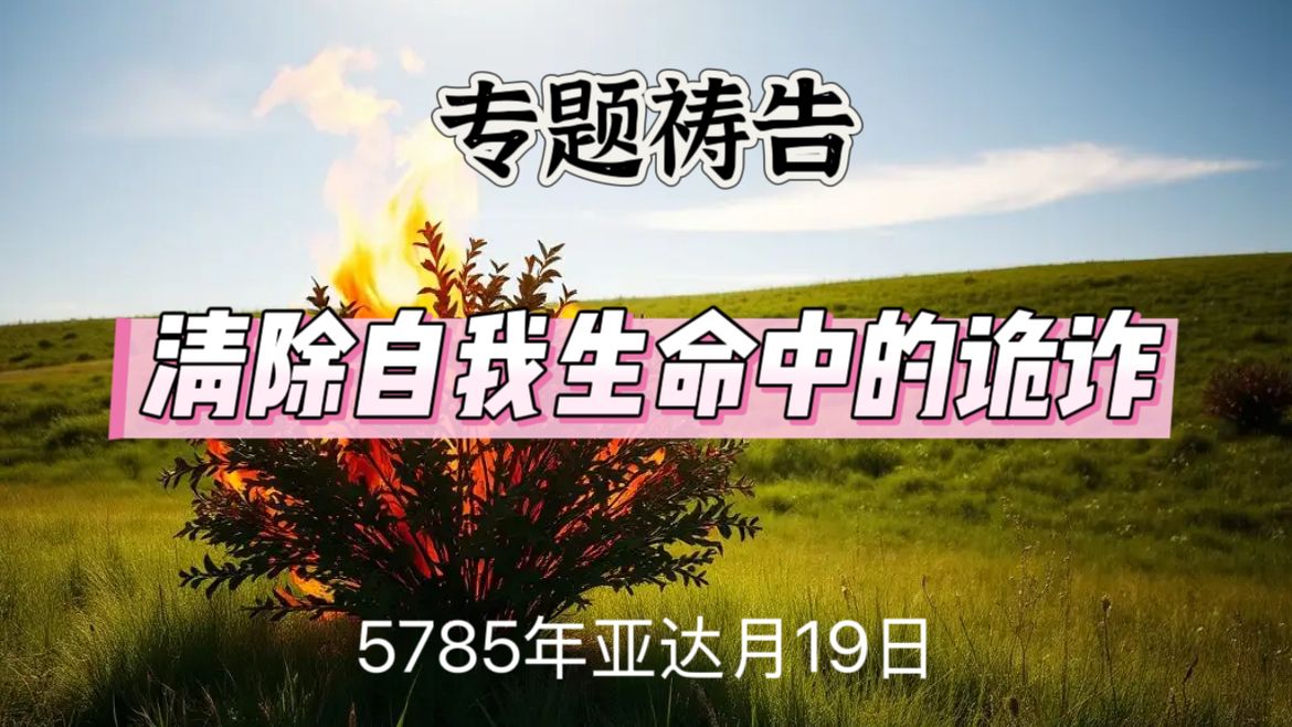 WhatsApp 图像2025-03-18于21.50.11_5fce2725.jpg