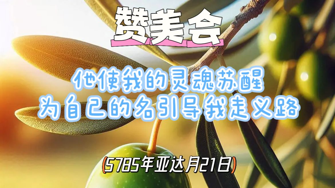 WhatsApp 图像2025-03-20于21.15.22_ad930472.jpg