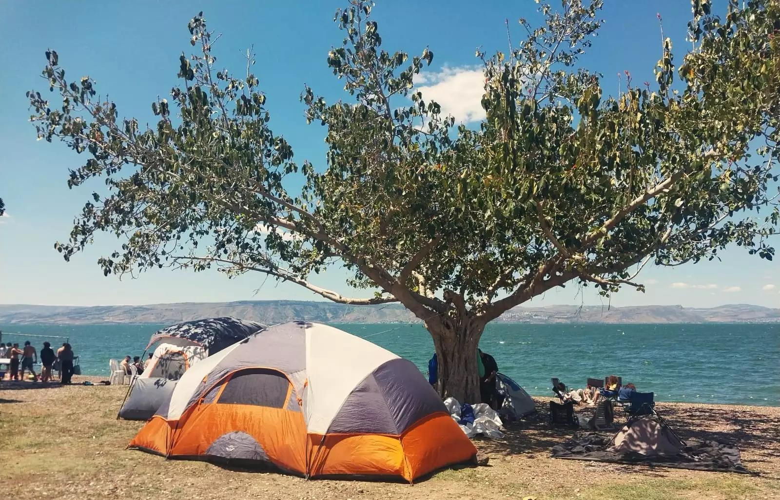 一名度假者在基内雷特海岸入口揭发贿赂和伏击行为，促使当局逮捕涉案人员。 ... ...