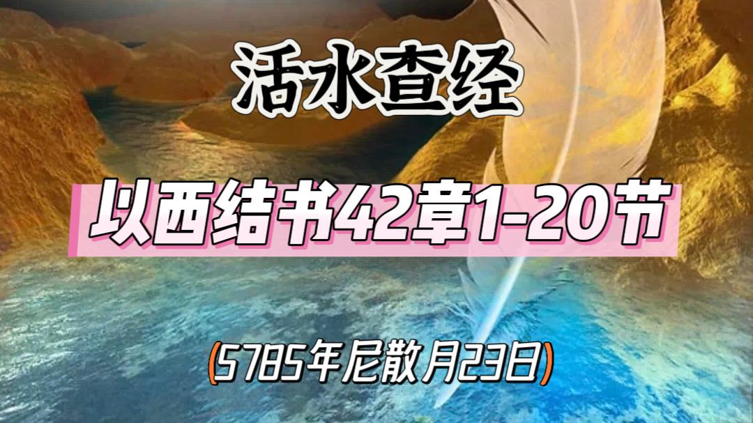 WhatsApp 图像2025-04-21于22.20.26_66f61625.jpg