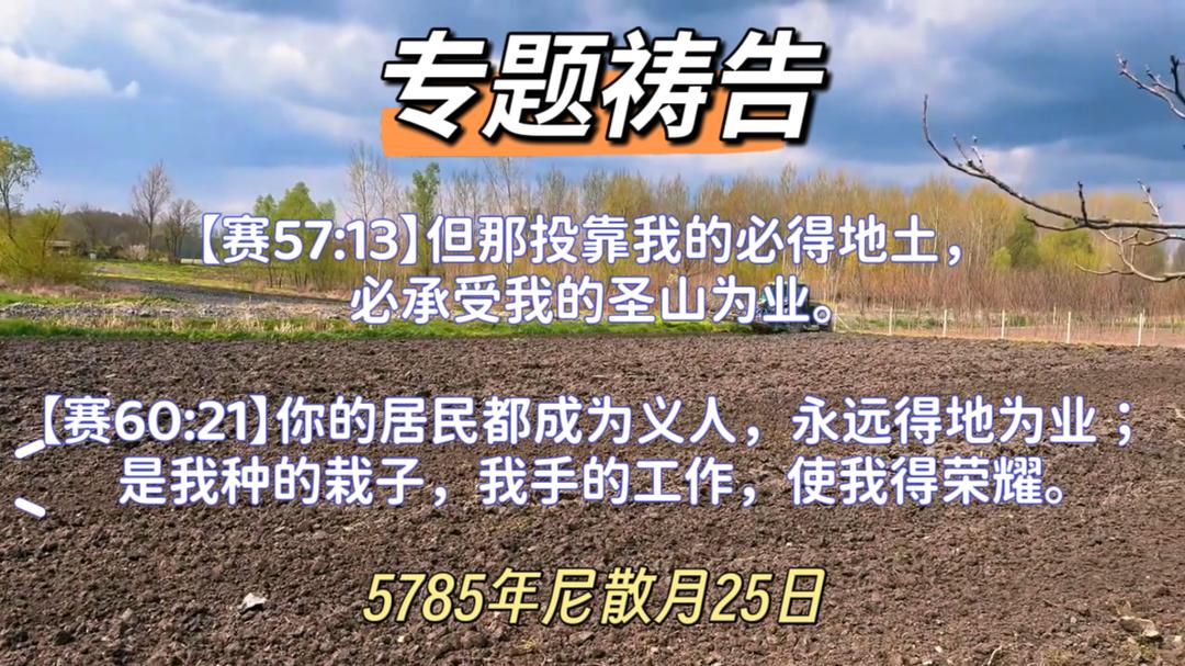 WhatsApp 图像2025-04-23于22.51.06_45cf91ca.jpg