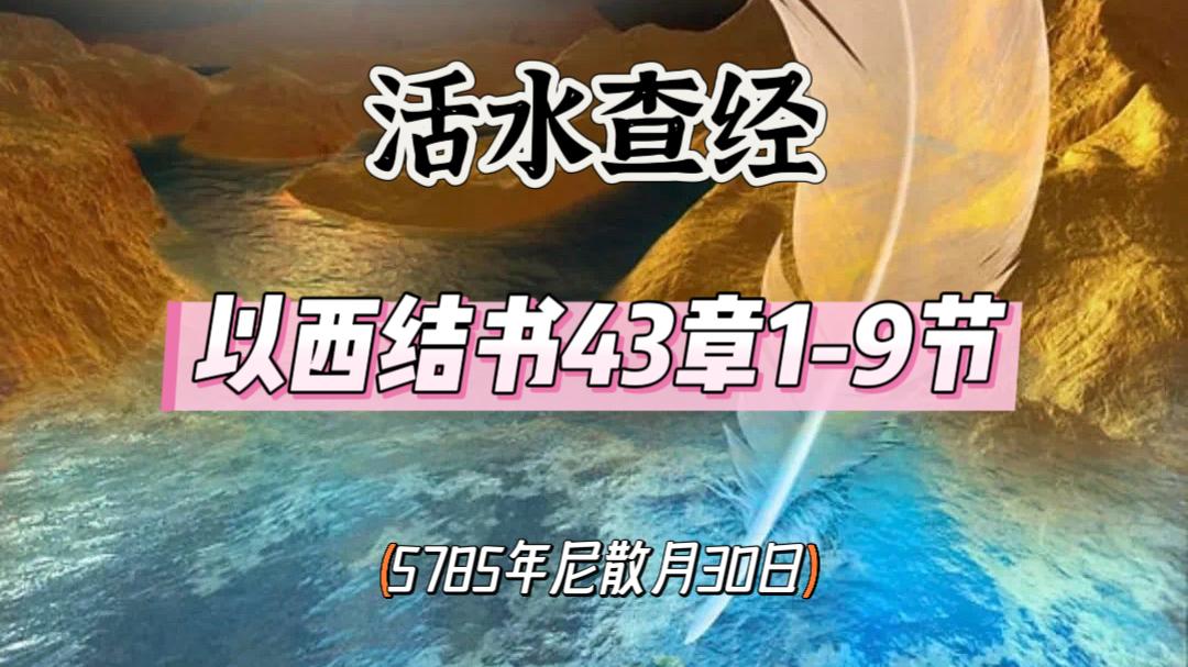 WhatsApp 图像2025-04-29于22.49.55_df8e22b2.jpg