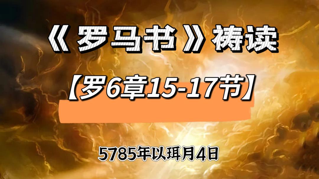 WhatsApp 图像2025-05-02于22.29.34_84964927.jpg