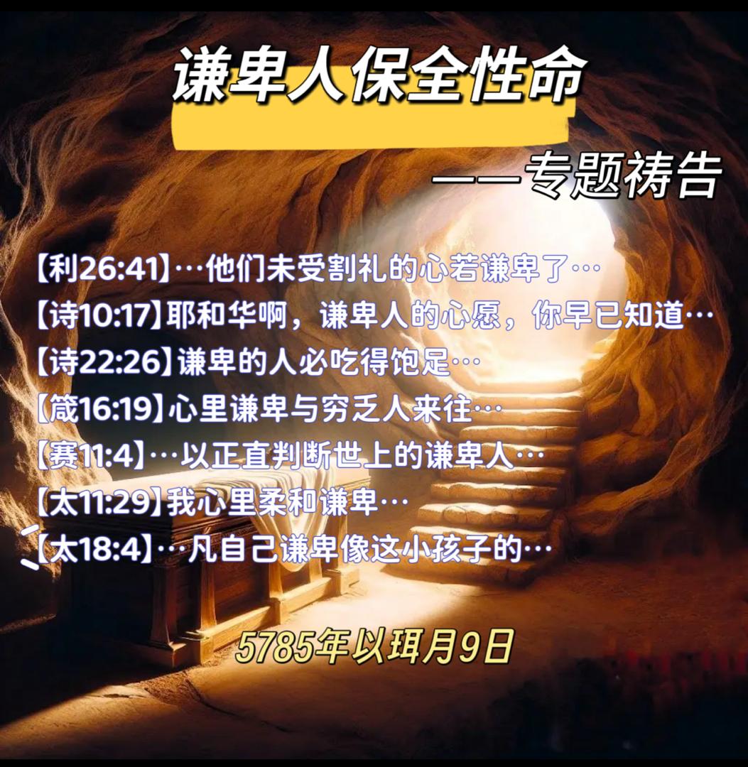WhatsApp 图像2025-05-07于22.14.04_cba15239.jpg