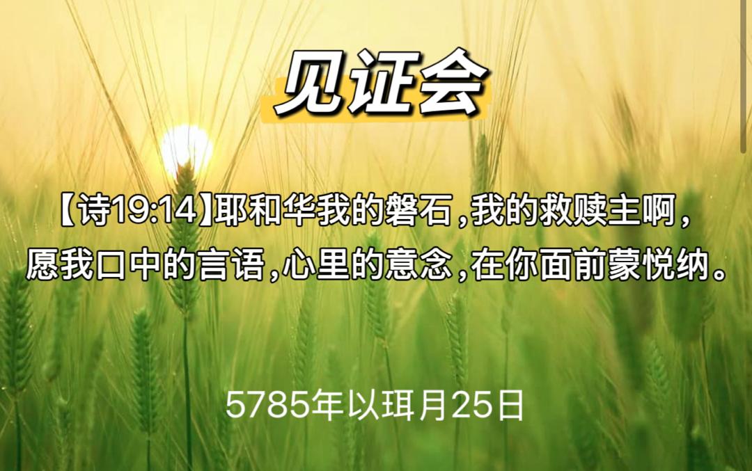WhatsApp 图像2025-05-23于21.51.13_ab202927.jpg
