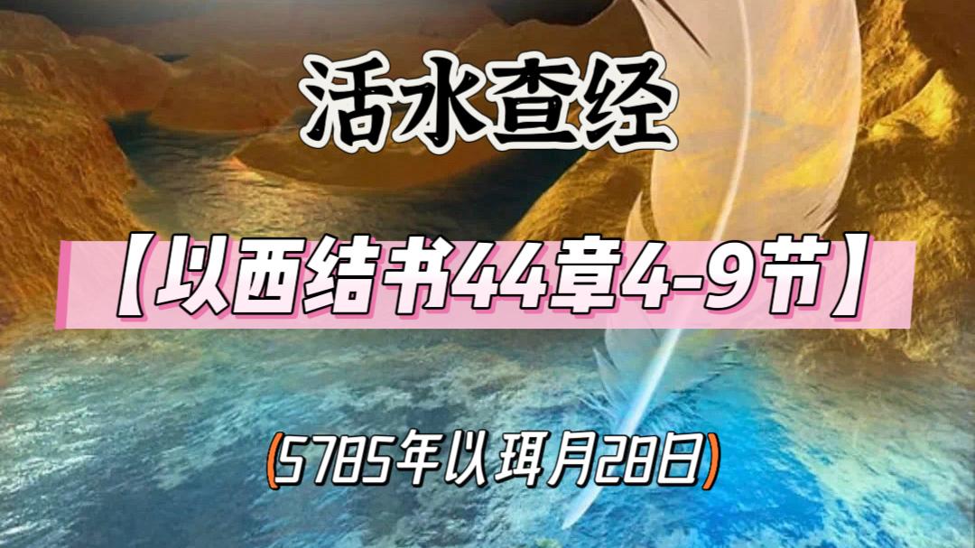 WhatsApp 图像2025-05-26于22.23.38_4f036a78.jpg
