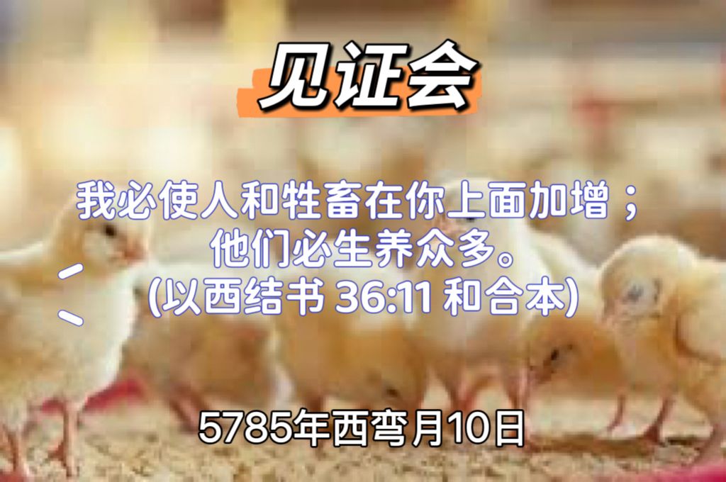 WhatsApp 图像2025-06-06于23.56.24_1cf5e120.jpg