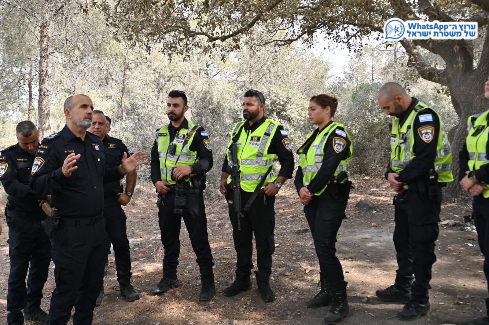 图文4.JPG